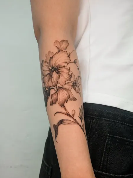 Flower, 국화, 덩굴, 대나무, 이레즈미, 큰 타투, 멘디, 뿌리, 수국, 수선화, 야생화, 나뭇가지, 오너멘탈, 카네이션, 꽃 배경, Nature