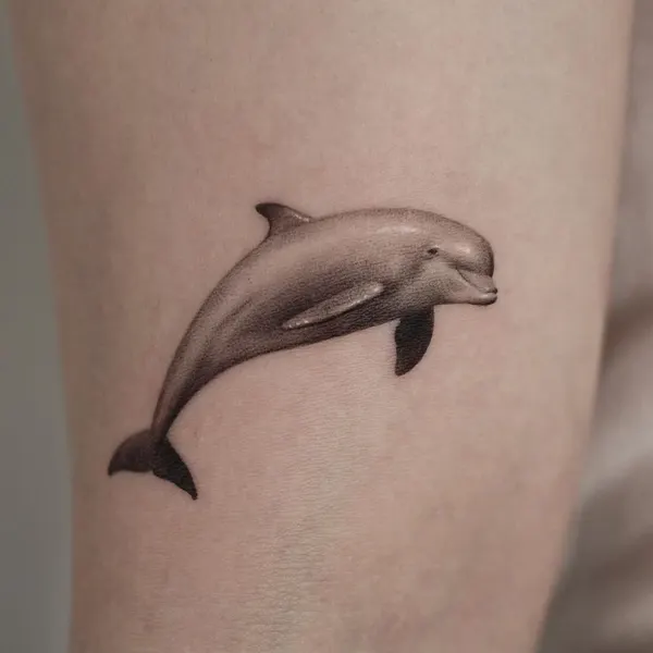 상어, 고래, 돌고래, 나무늘보, Animal, 해마