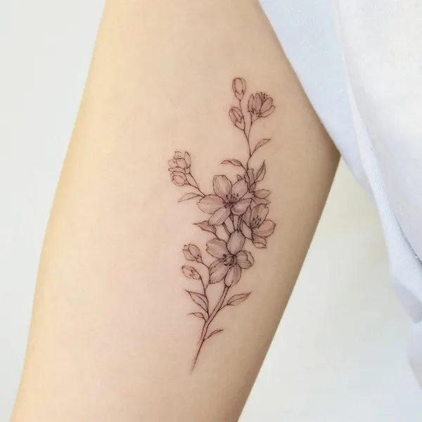 Flower, 라벤더, 나뭇가지, 카네이션, Nature, 멘디, 수국, 허브