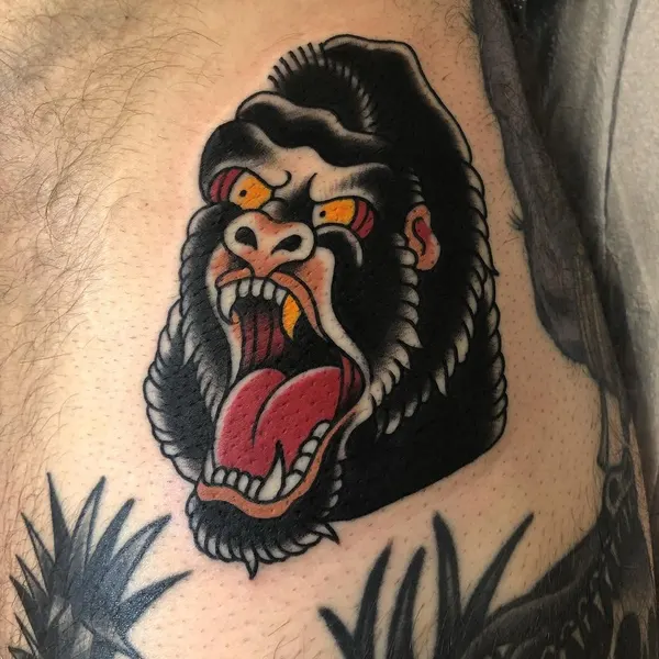 Tiger, Animal, 원숭이