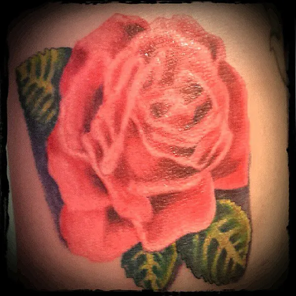 Flower, Rose
