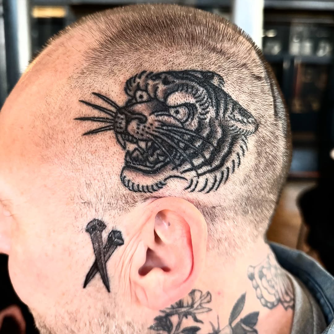 Tiger, Animal, 일본 호랑이, 중국 호랑이