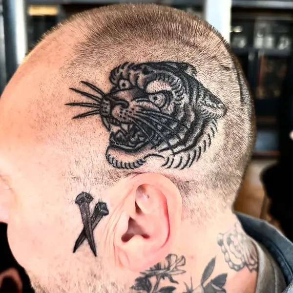 Tiger, Animal, 일본 호랑이, 중국 호랑이