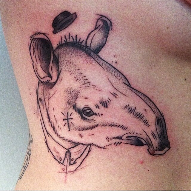 펭귄, Animal