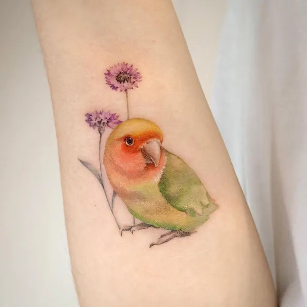 Animal, 앵무새, 공작