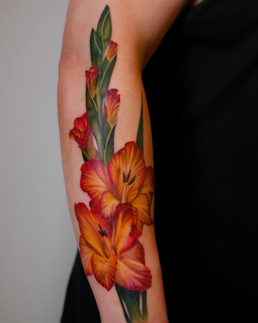 Flower, 튤립, 꽃 배경