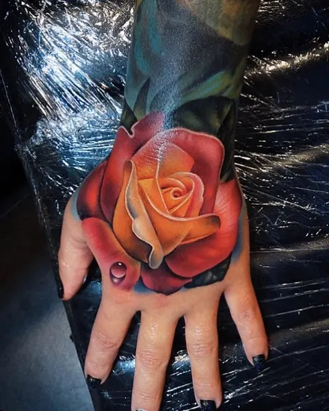 Flower, Rose