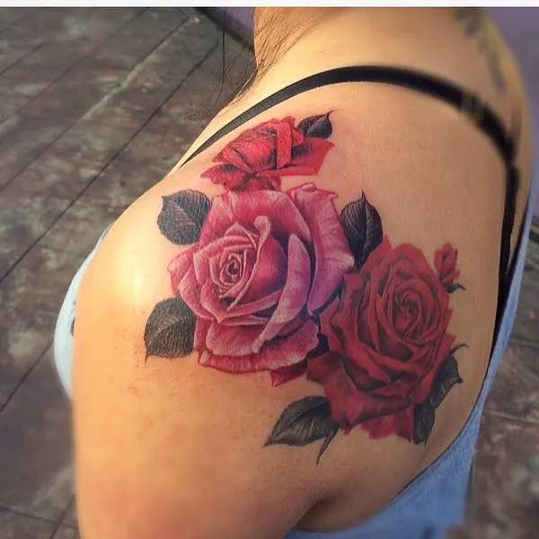 Flower, Rose, Nature