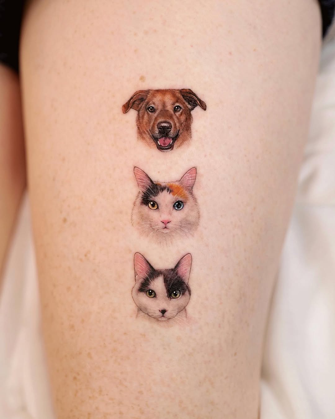 paw.tattoo