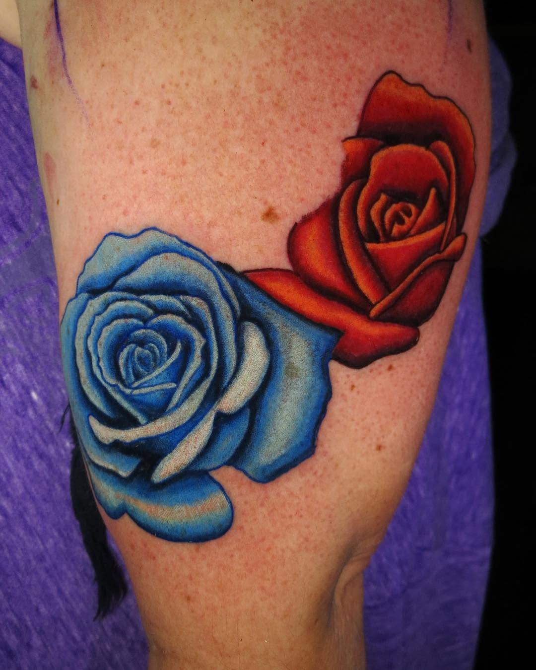 Flower, Rose, Nature