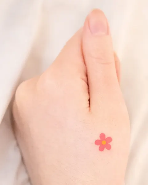 Mini, 비행기