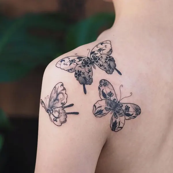 Animal, Nature
