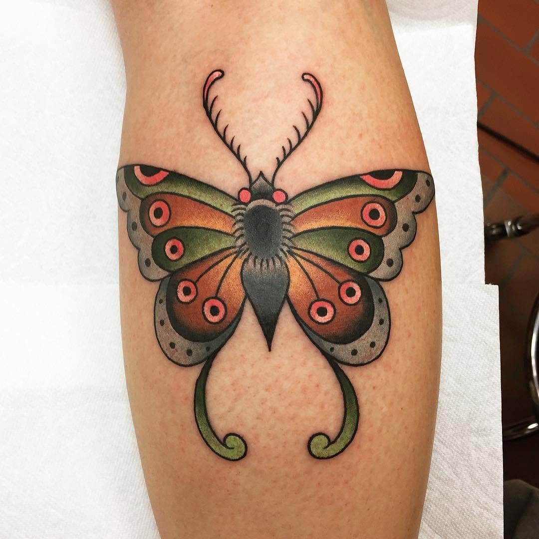 Animal, Nature, 나방, 매미