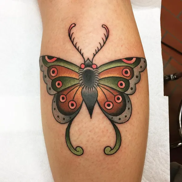 Animal, Nature, 나방, 매미