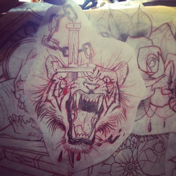 Tiger