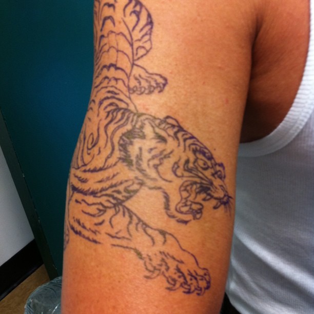 Tiger, Dragon