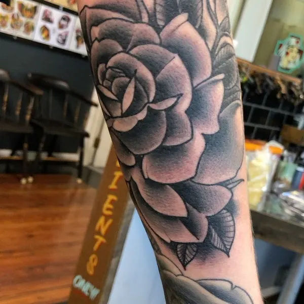 Flower, Rose