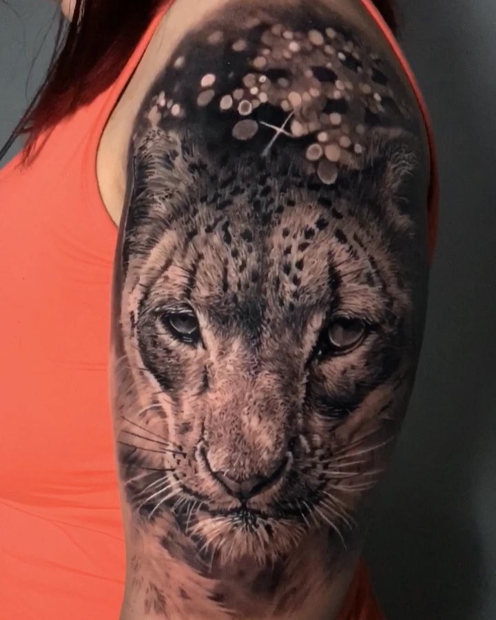 Animal, 치타, 표범, 재규어