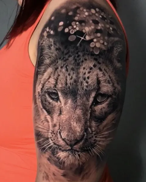 Animal, 치타, 표범, 재규어