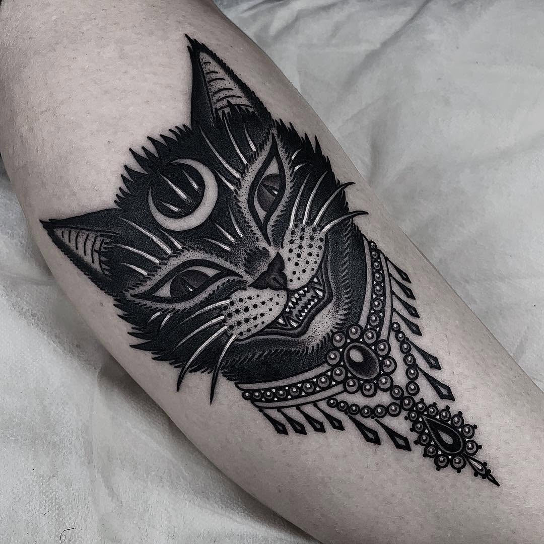 Animal