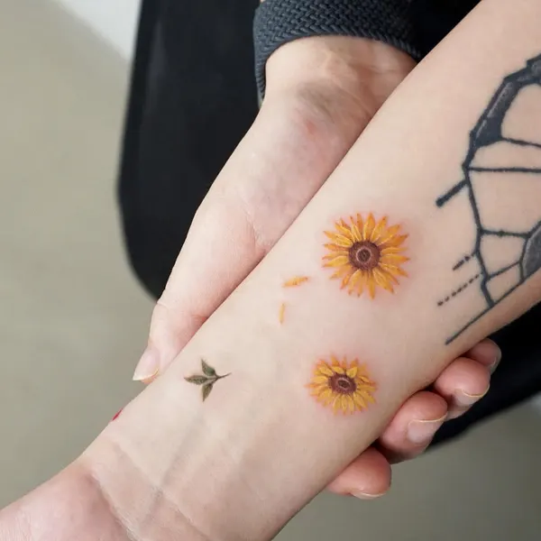 Flower, 해바라기