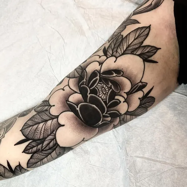 Flower, Rose