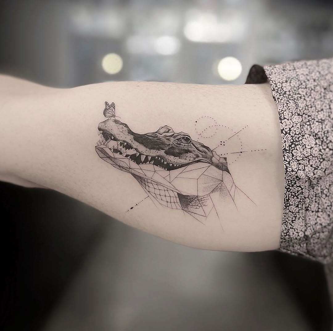 Dragon, 악어, 거북이, 바다거북, 조개껍데기