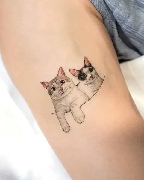 고양이