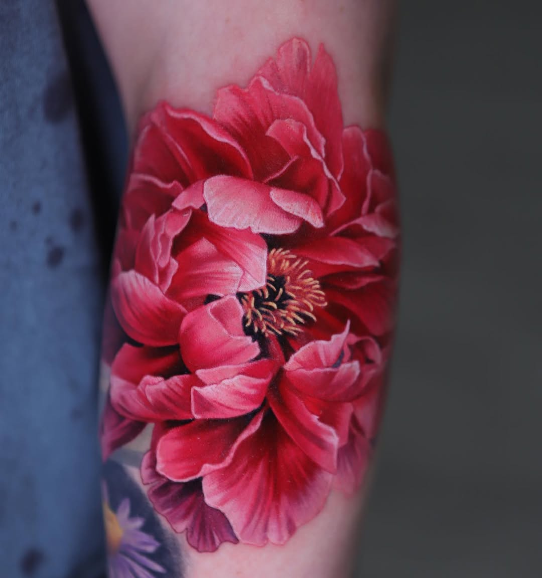 Flower, Rose, 모란, 양귀비, 히비스커스