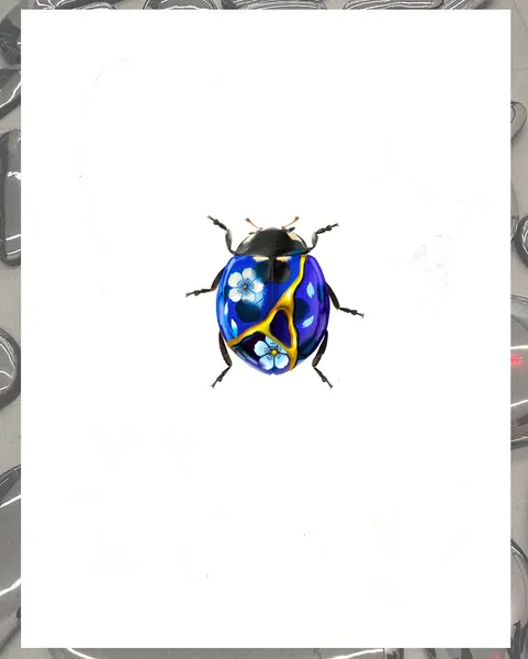 caotida