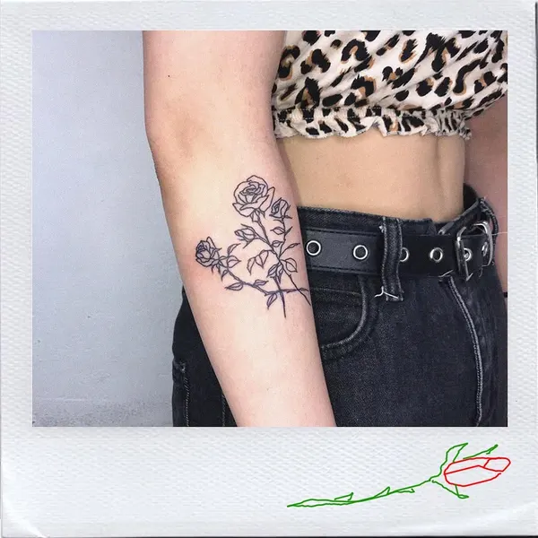 Flower, Rose