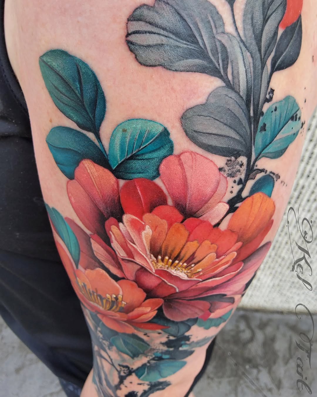 Flower, Rose, Nature