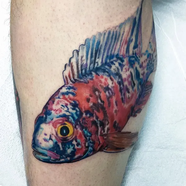 Animal, 물고기