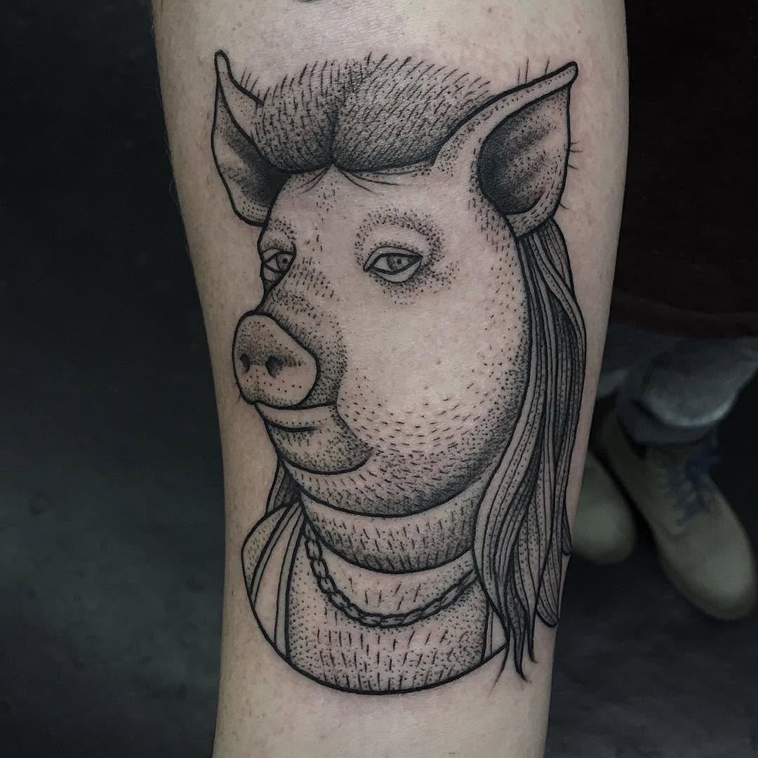 Animal, 염소, 소, 양, 돼지, 황소, 멧돼지