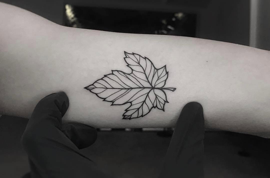 Flower, 잎, 은행잎, 모란, 목련, 장식, 허브, 단풍잎, 카네이션