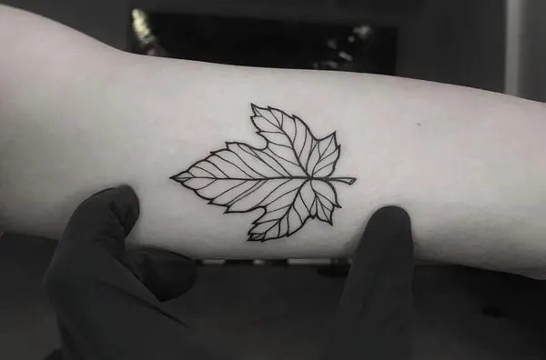 Flower, 잎, 은행잎, 모란, 목련, 장식, 허브, 단풍잎, 카네이션