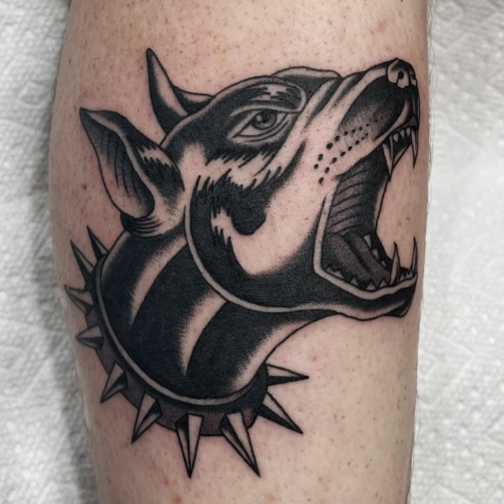 Animal, Tiger