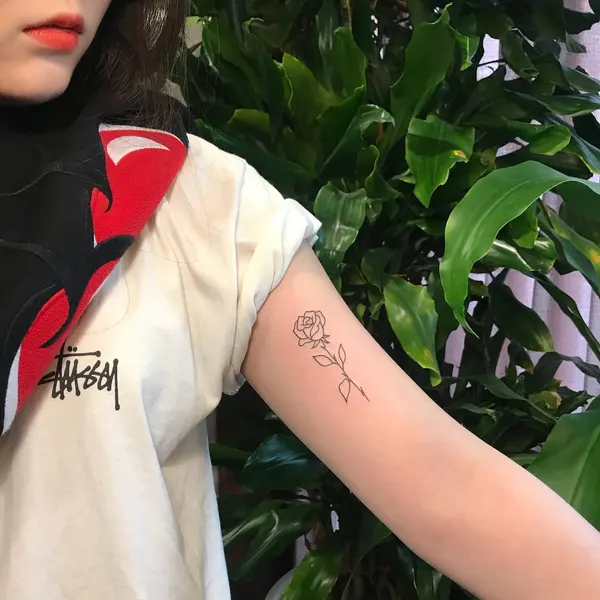 Flower, Rose