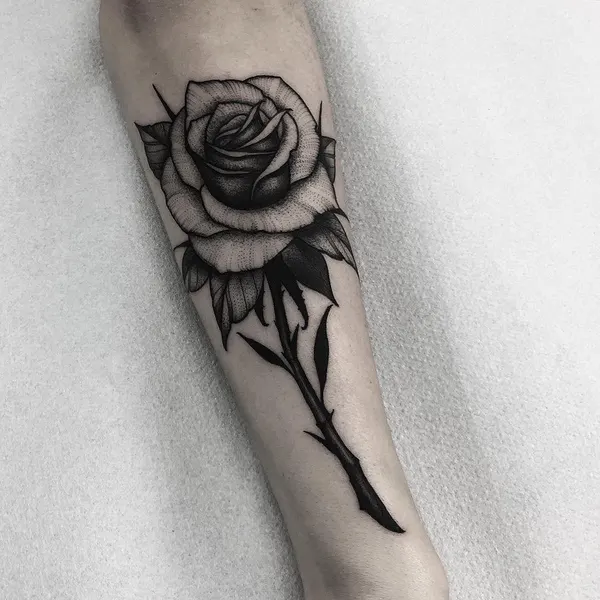 Flower, Rose