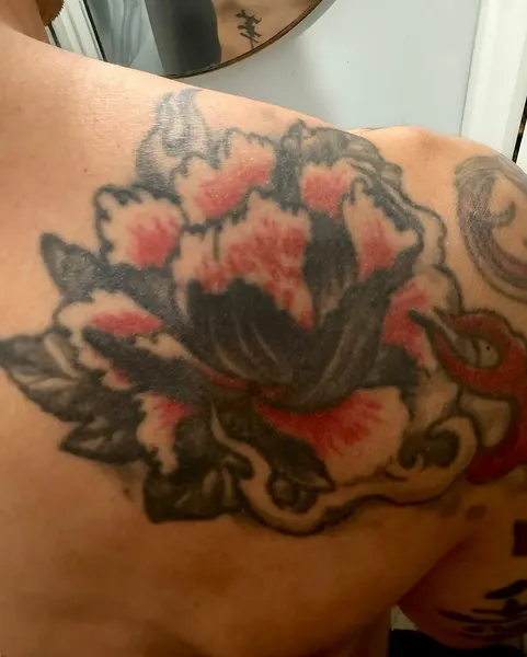 Flower, Nature, Rose