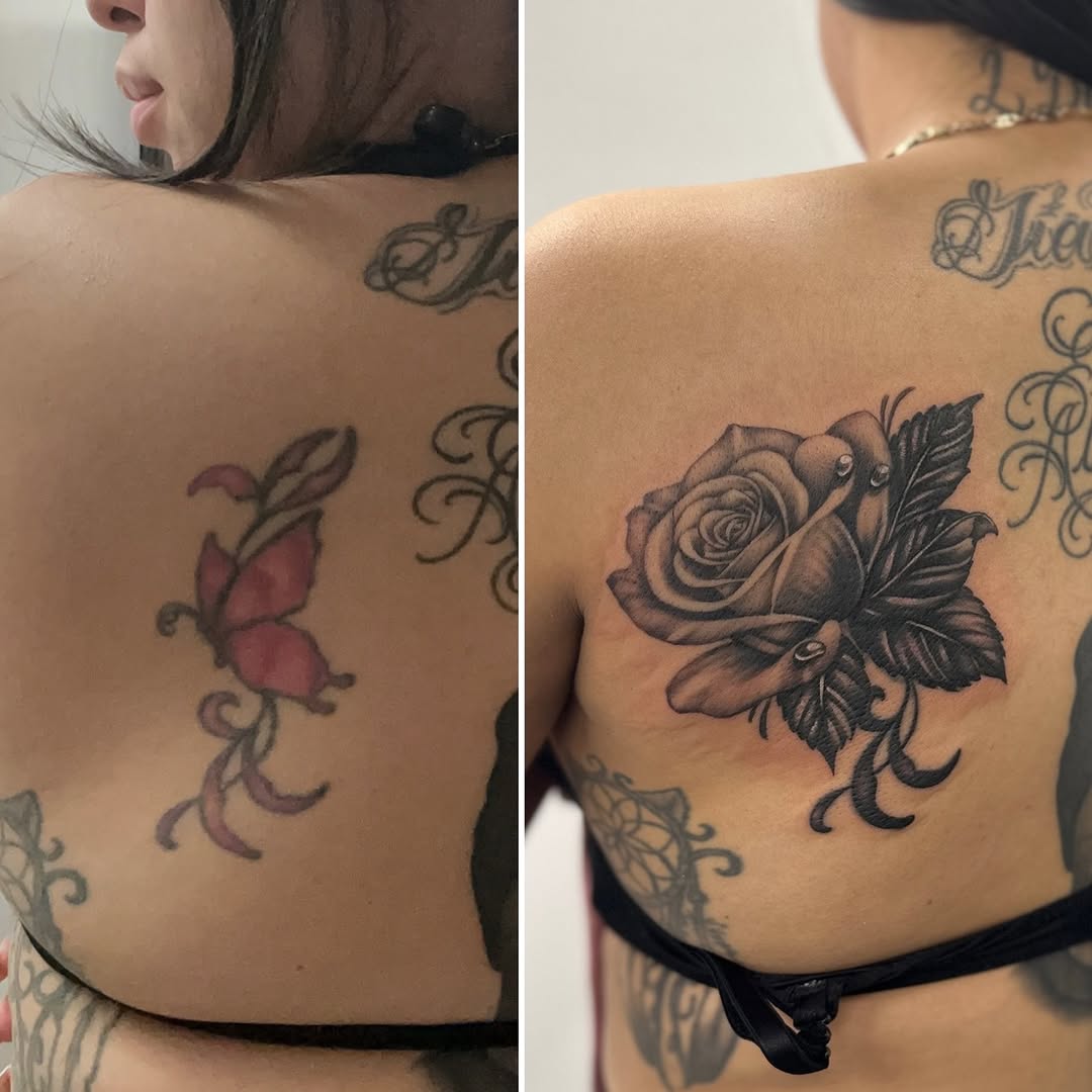 Flower, Rose, 변화