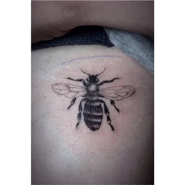 Animal, 벌