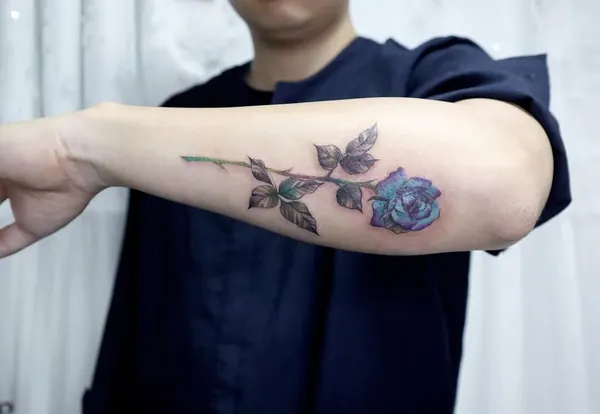 Flower, Rose