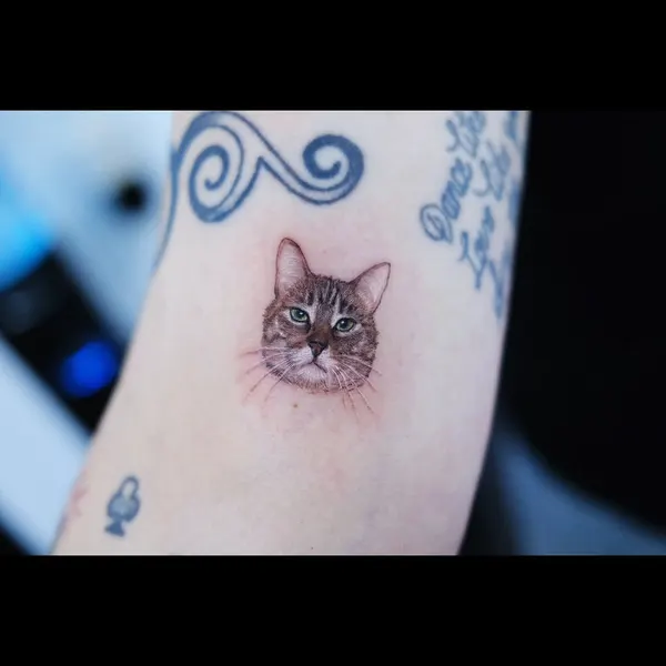 Animal