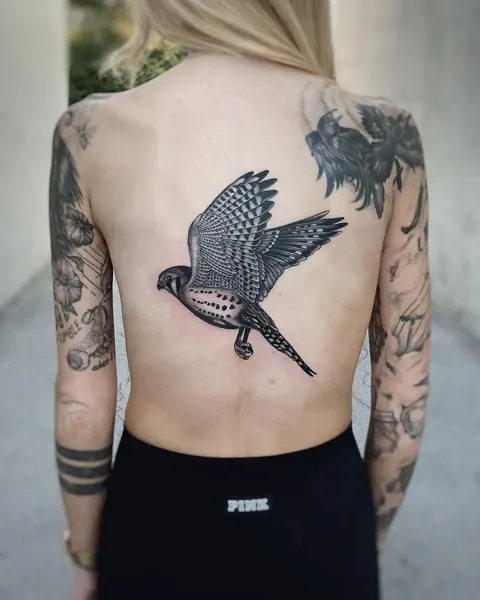 Animal, 공작