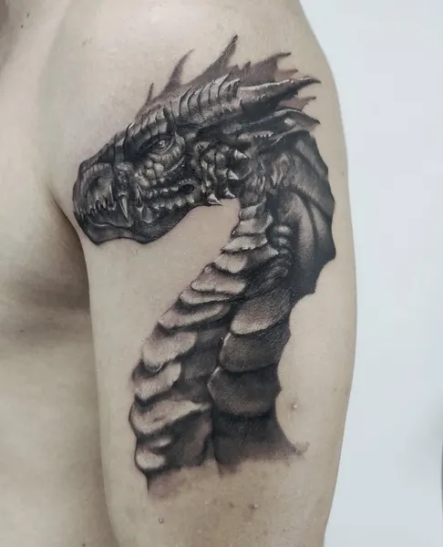 Dragon, 드래곤 라이더, 한국 용