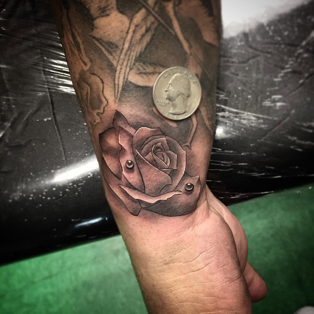 Flower, Rose