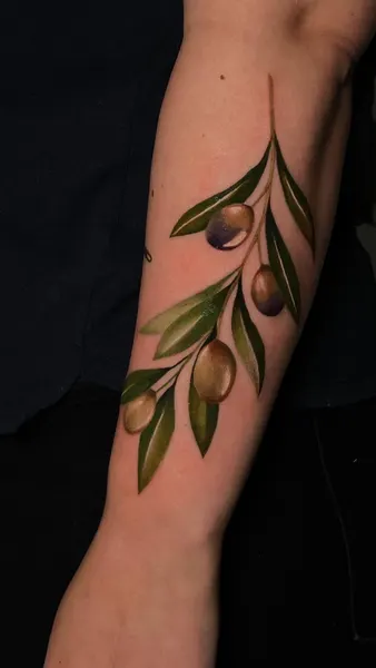 풀, Flower, Rose, 올리브 가지