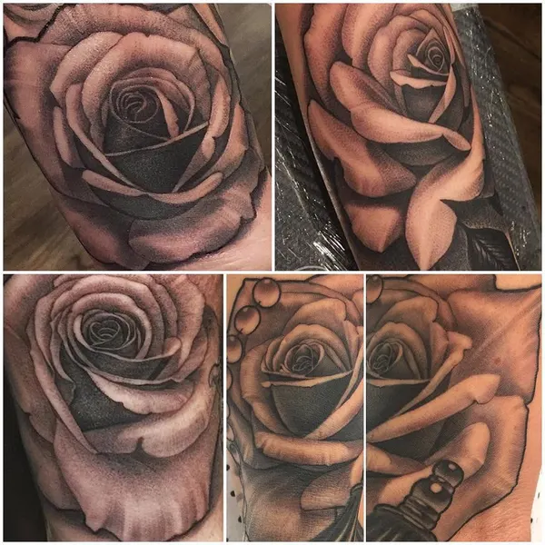 Rose, Flower
