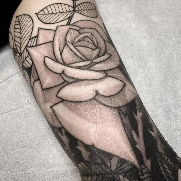 Flower, Rose